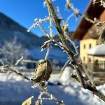 Holiday home Oberpremgut Krispl