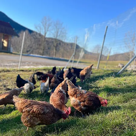 Oberpremgut Σπίτι διακοπών Krispl