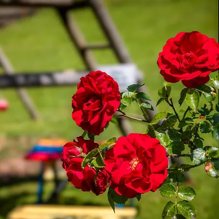 Oberpremgut * Krispl